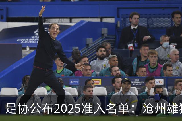 足协公布2025准入名单：沧州雄狮、广州队无缘